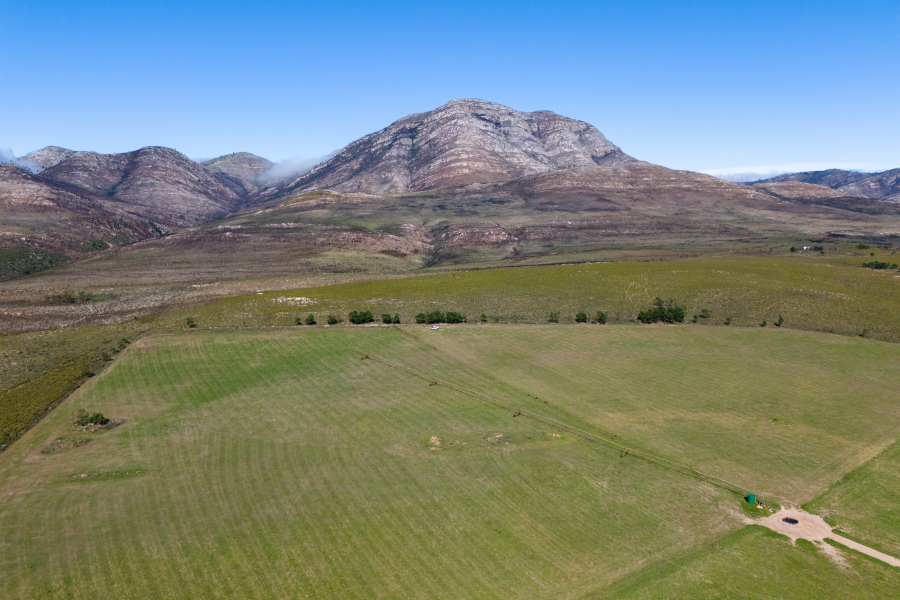 0 Bedroom Property for Sale in Kareedouw Eastern Cape